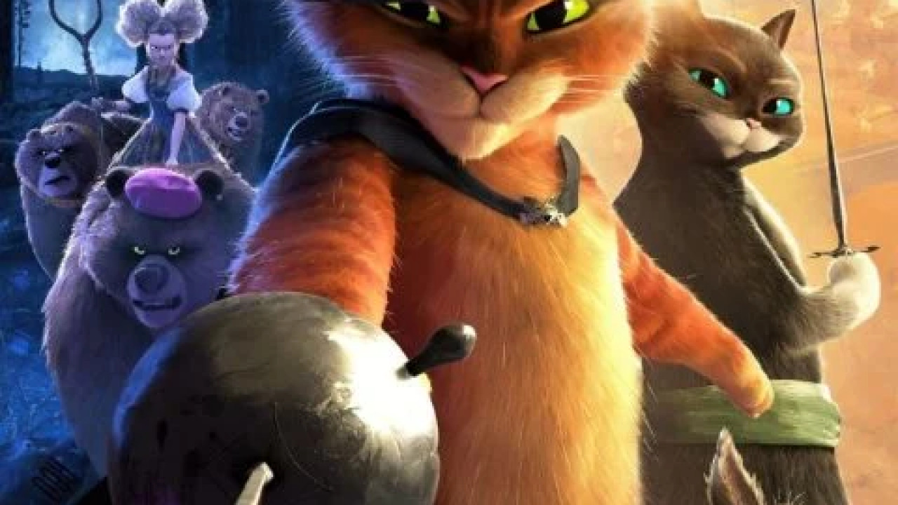 Puss in Boots: The Last Wish ( 2022 )