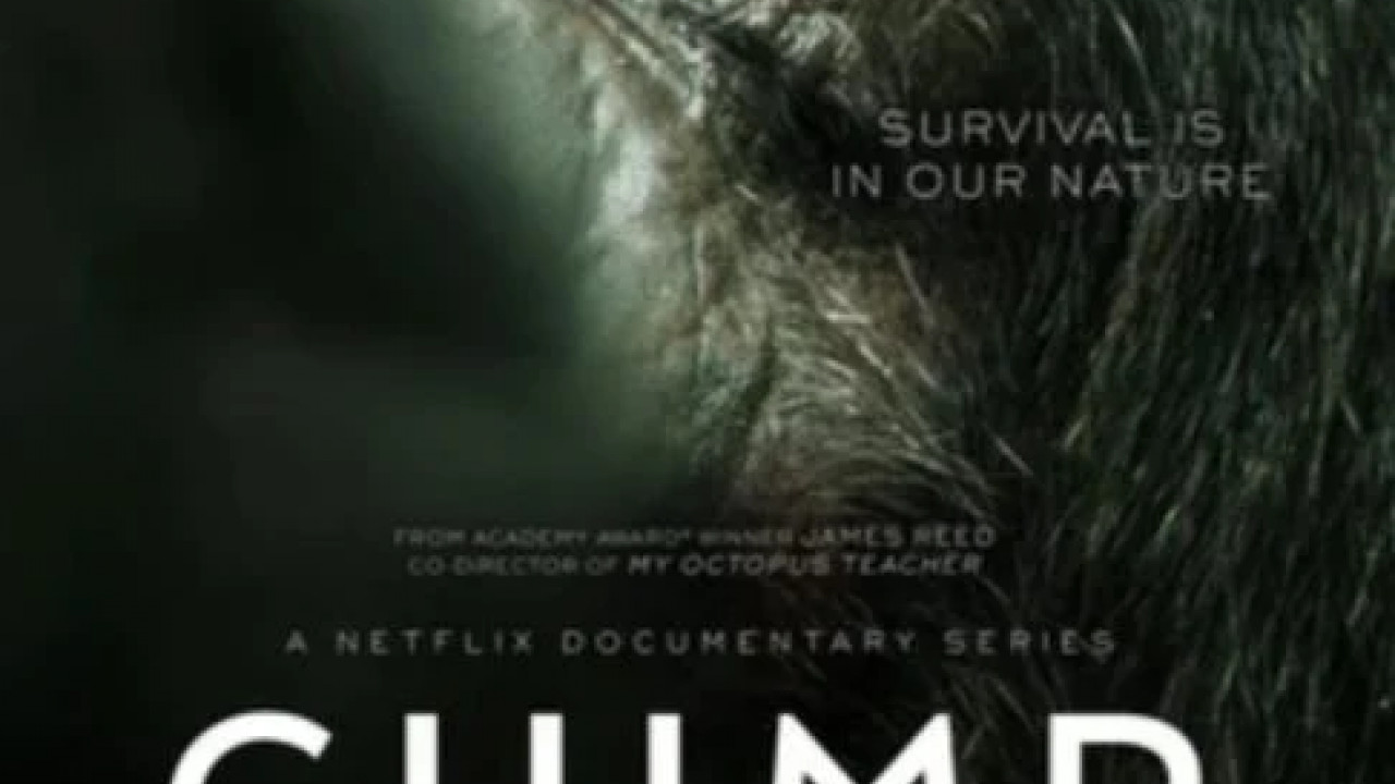 Chimp Empire الموسم الاول الحلقة 1